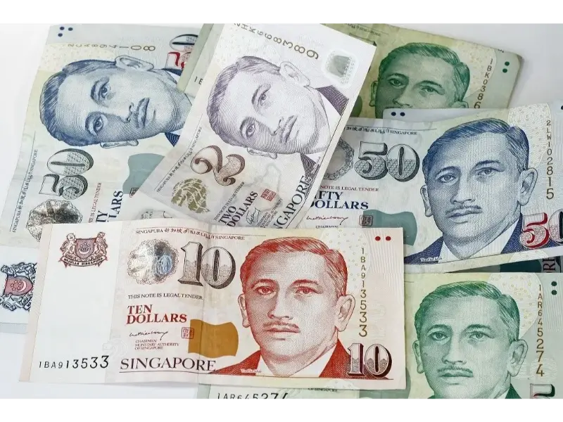 معرفی دلار سنگاپور از انواع دلارهای اصلی