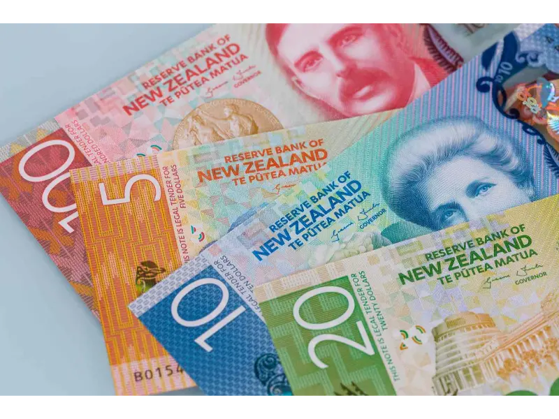 بررسی دلار نیوزلند در میان انواع دلار