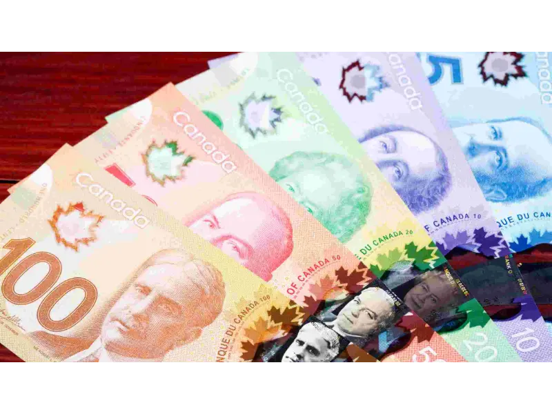 معرفی انواع دلار: دلار کانادا